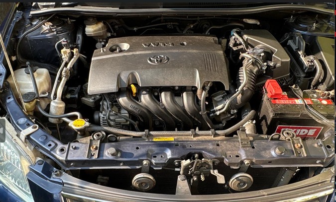 Advertisement image 5