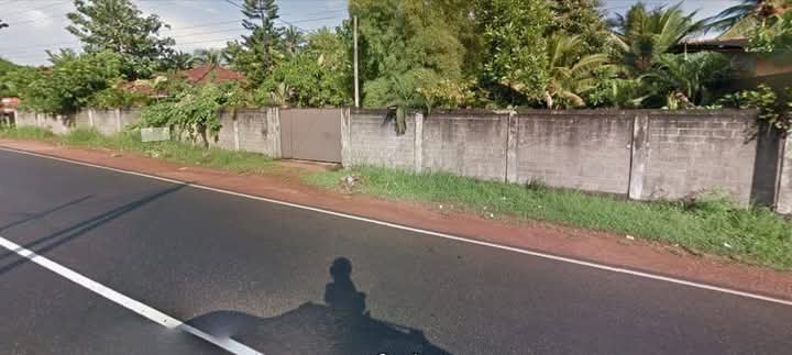 Agricultural Land for Sale in Gampaha ads-image-1