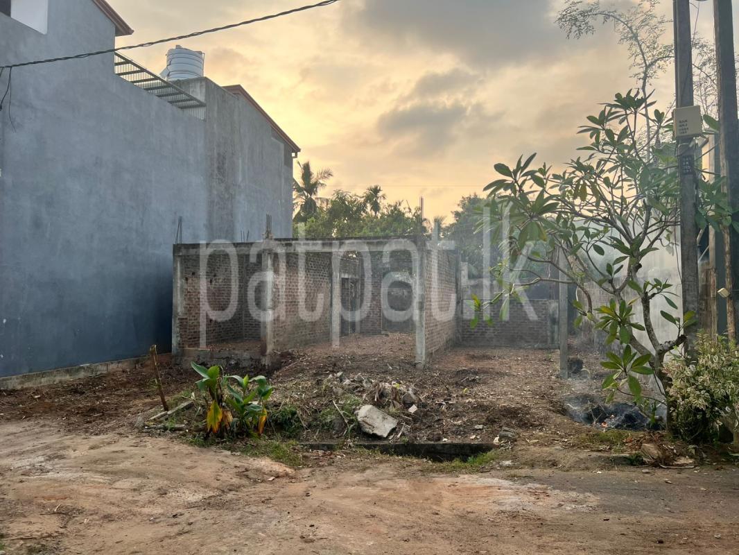 Advertisement image 1