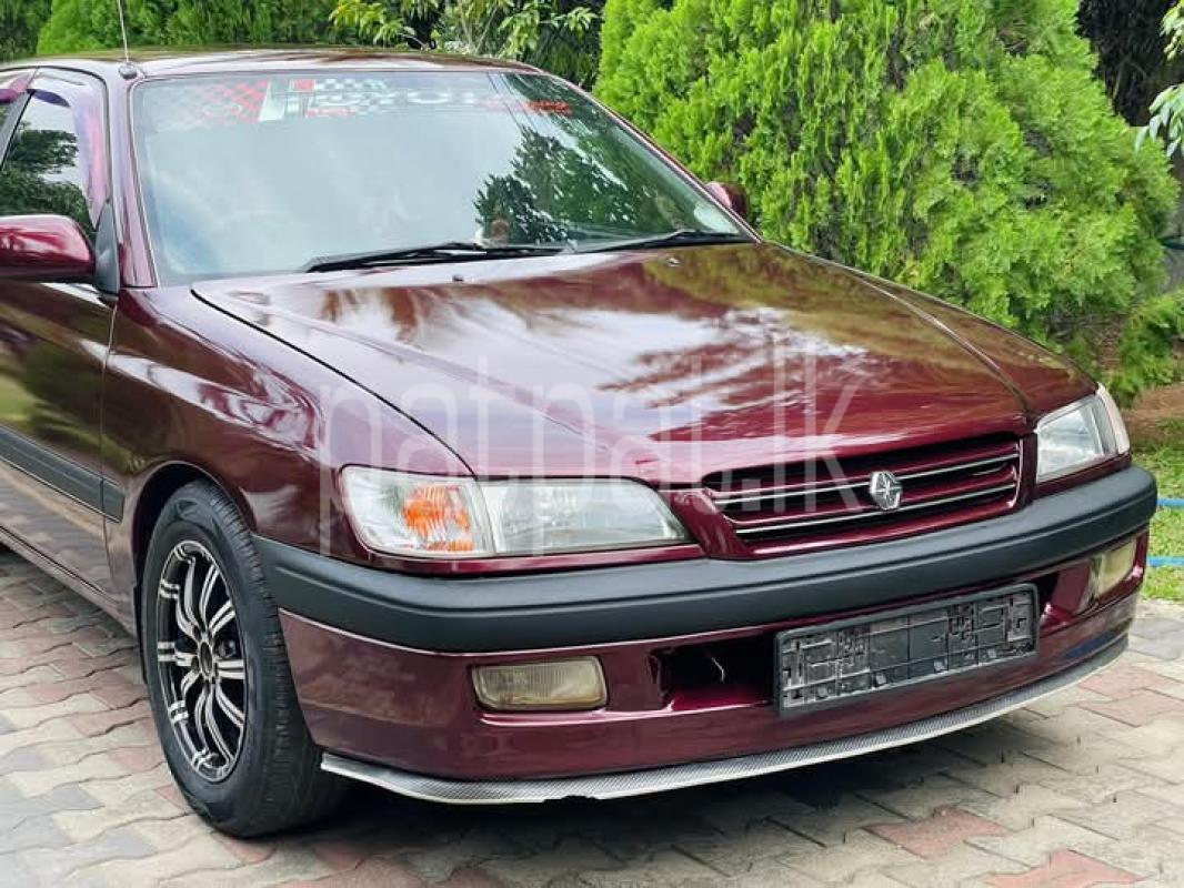 Advertisement image 5