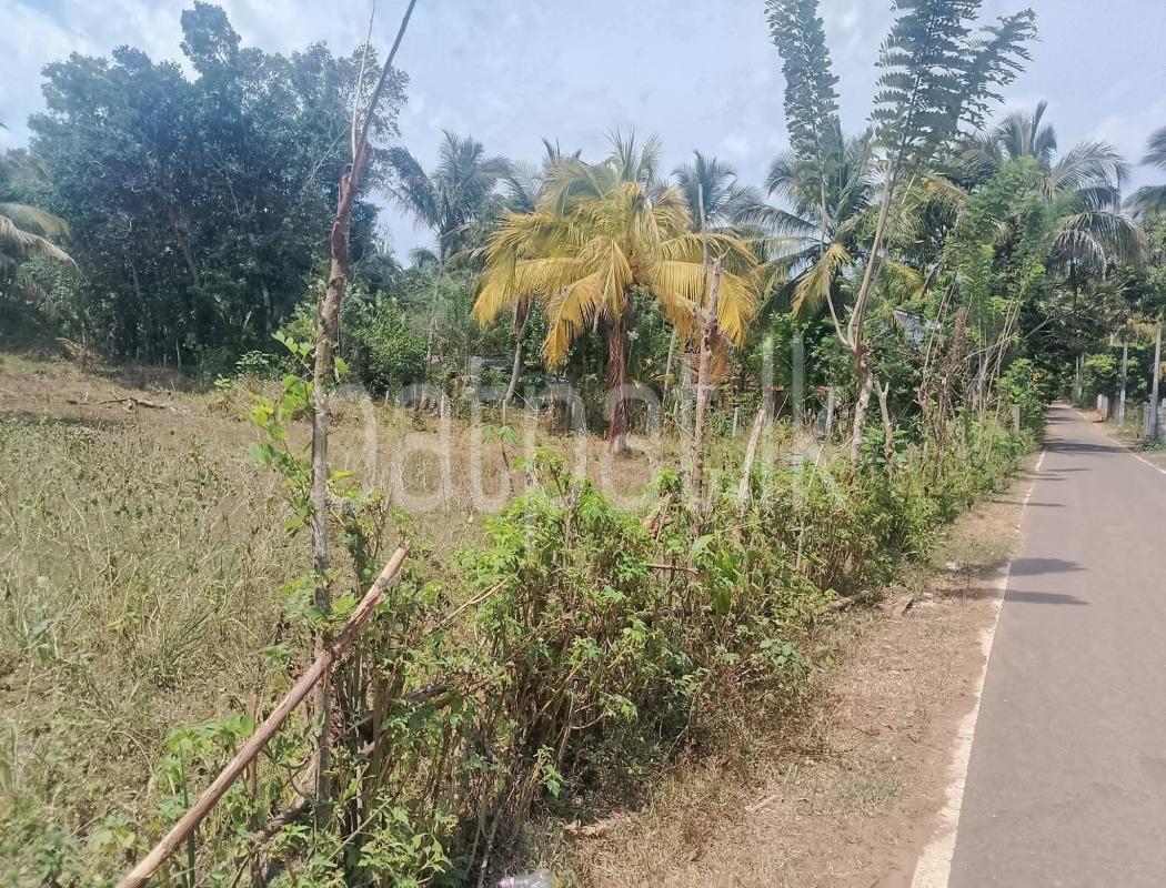 Agricultural Land for Sale in Kurunegala