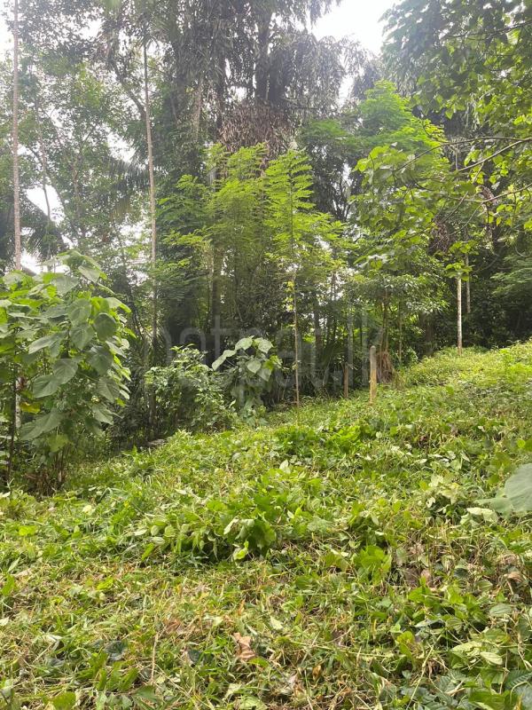 Residential Land for Sale in Kegalle ads-image-1