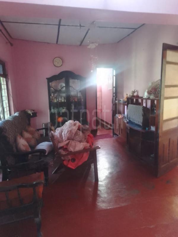 House for Rent in Piliyandala