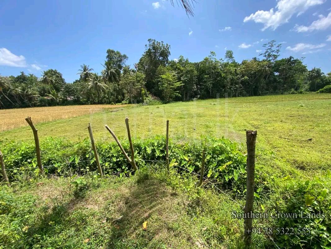 Agricultural Land for Sale in Yakkala ads-image-1