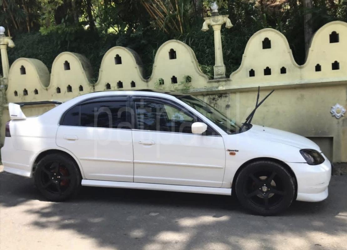 Advertisement image 3