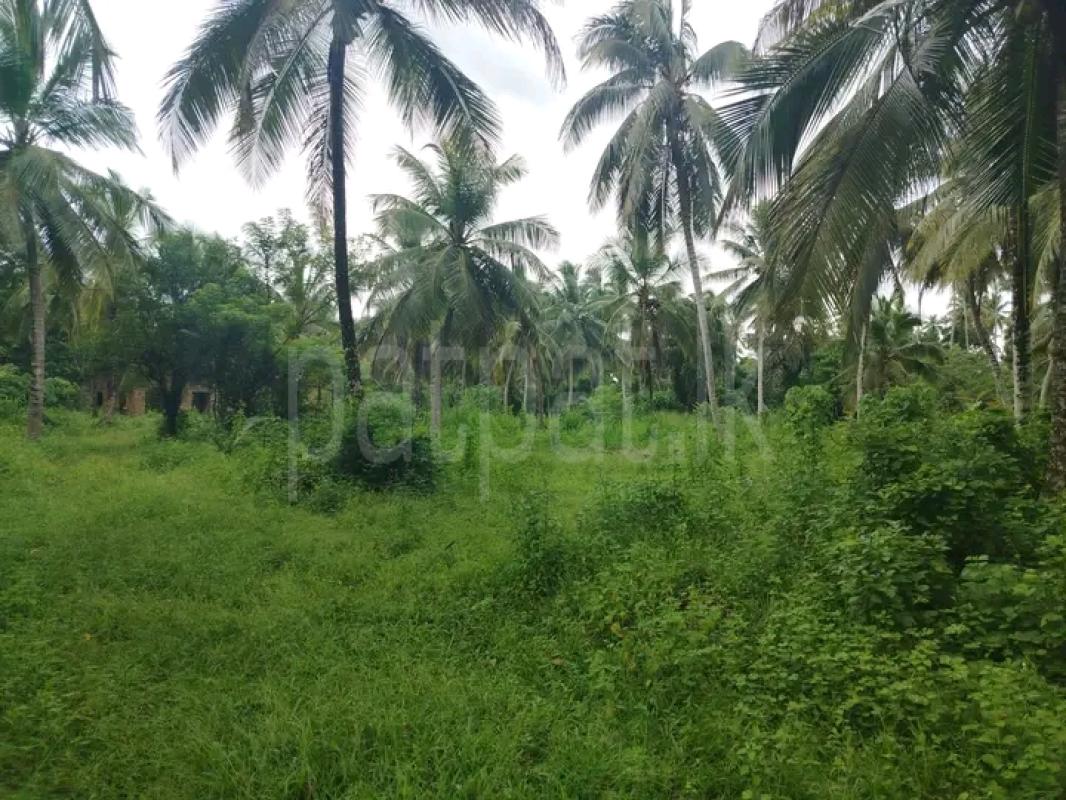 Residential Land for Sale in Dambadeniya
