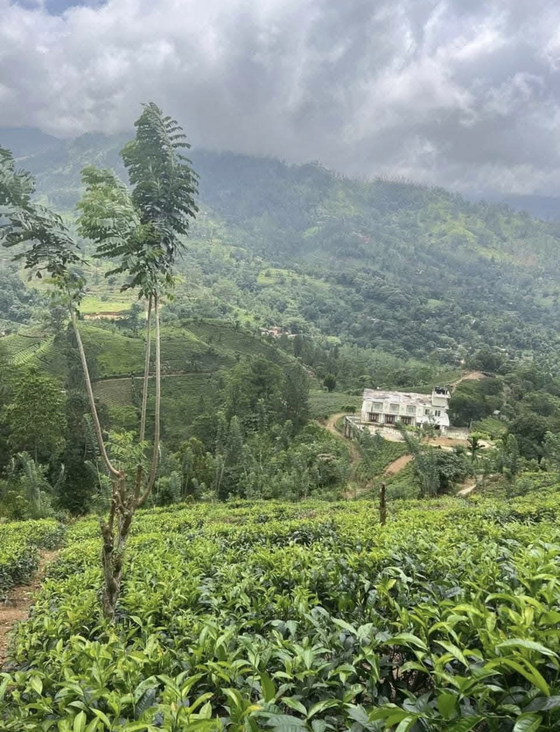 Agricultural Land for Sale in Kundasale