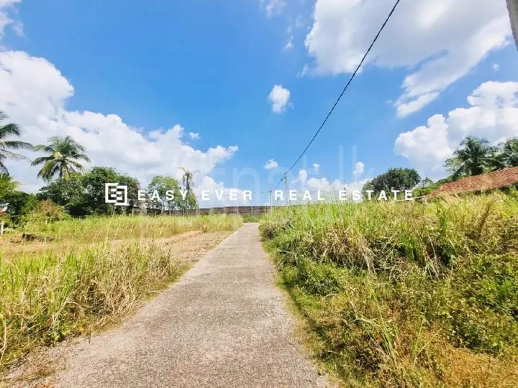 Commercial Land for Sale in Minuwangoda