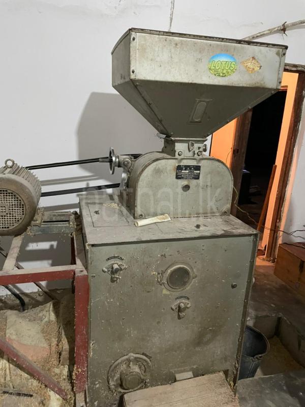 Advertisement image 2