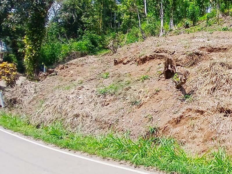 Commercial Land for Sale in Pilimatalawa