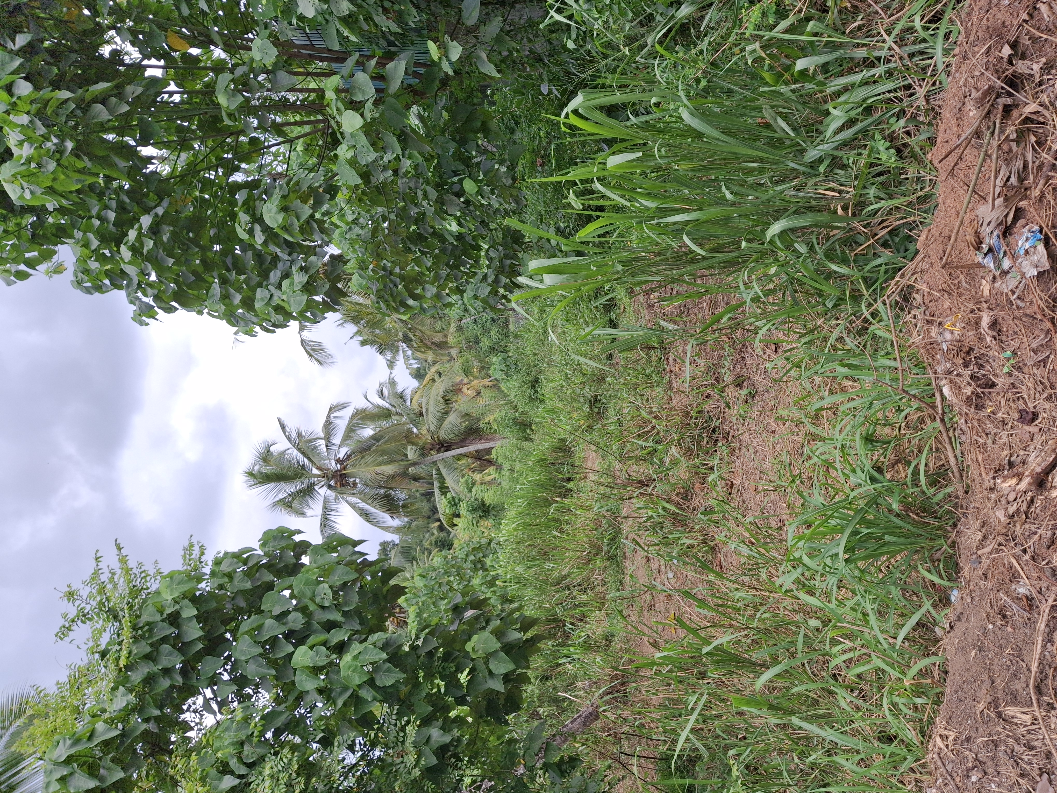 Residential Land for Sale in Nittambuwa