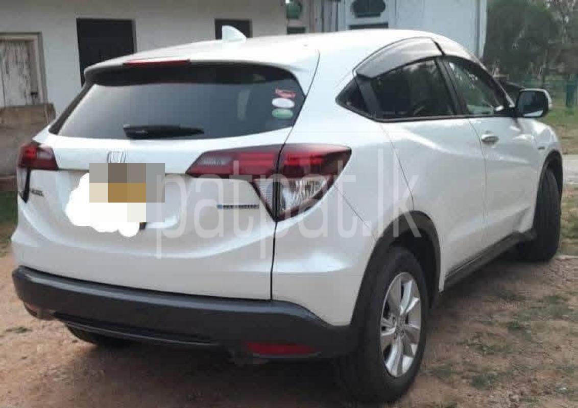 Advertisement image 3