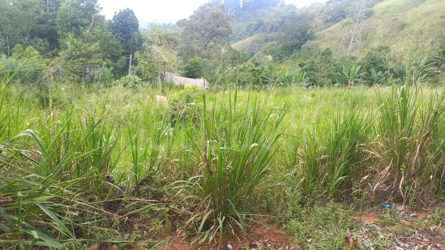 Agricultural Land for Sale in Bandaragama