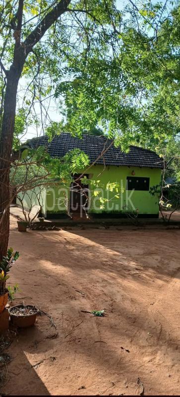 Residential Land for Sale in Kataragama