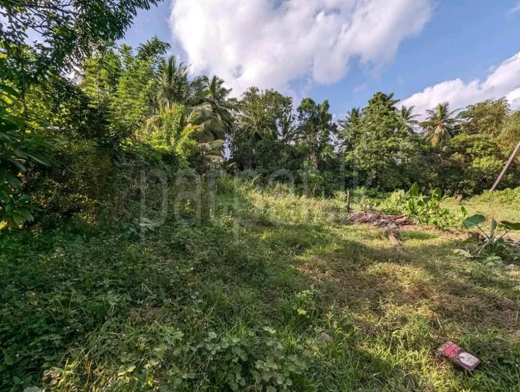 Residential Land for Sale in Welisara ads-image-1