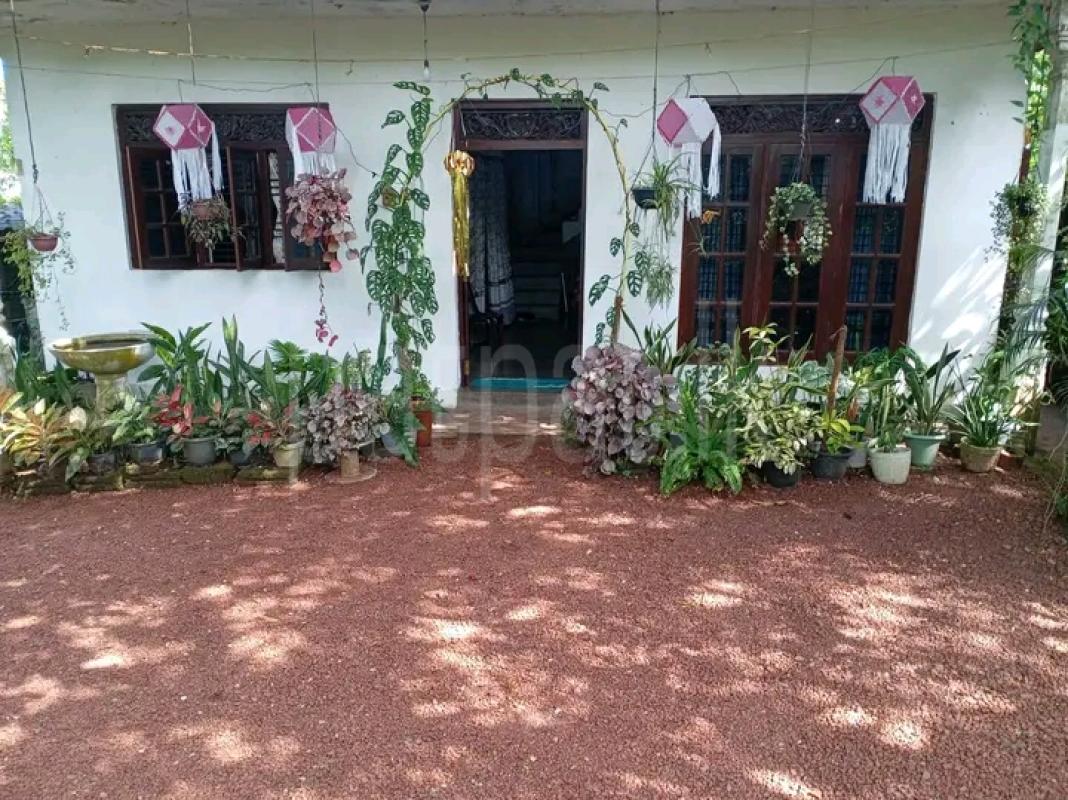 House for Sale in Panadura