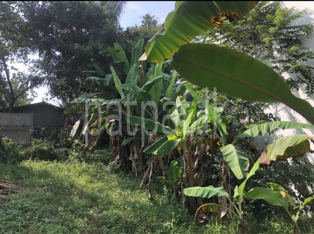 Residential Land for Sale in Kesbewa