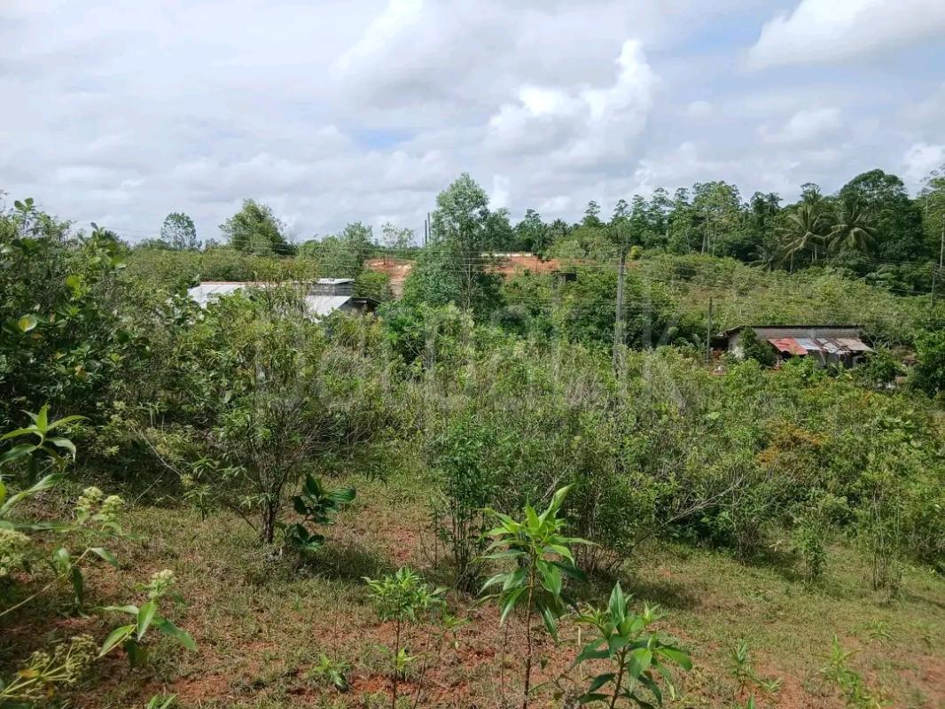 Agricultural Land for Sale in Kolonnawa