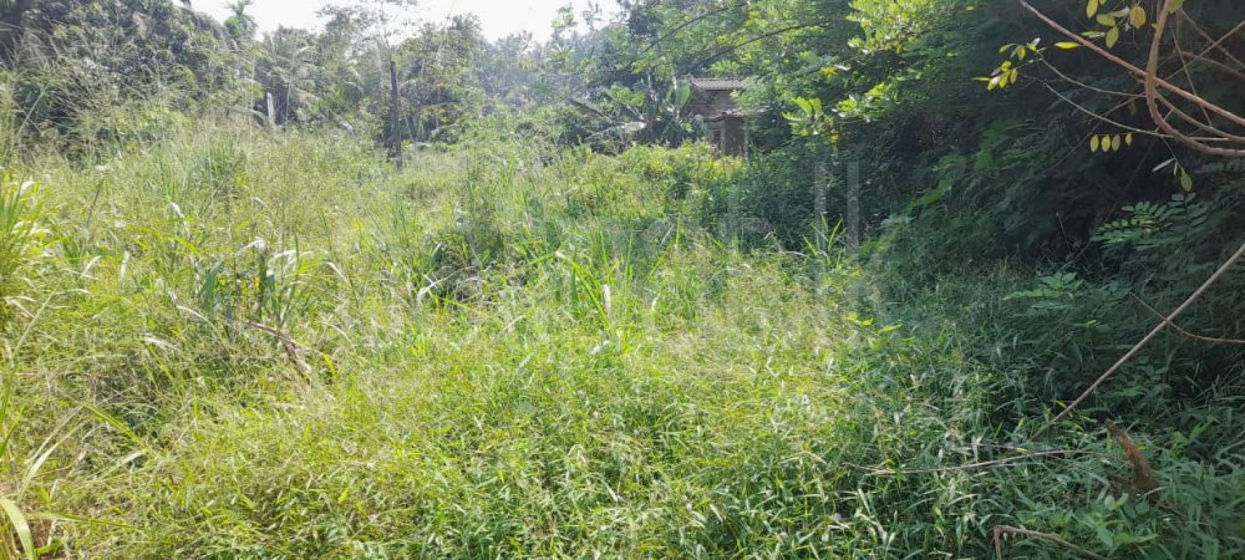 Residential Land for Sale in Ratnapura ads-image-1