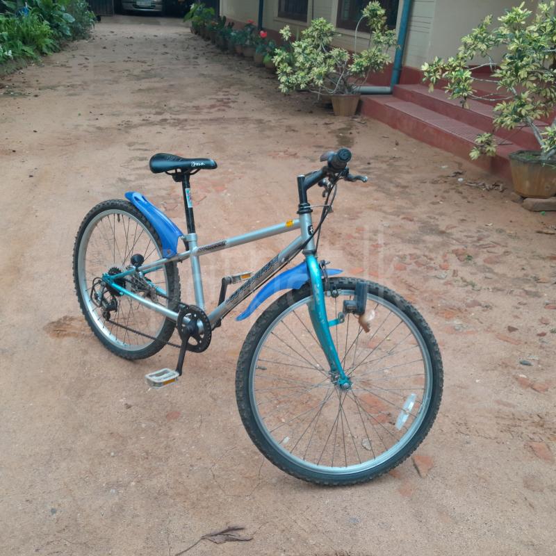 Advertisement image 4