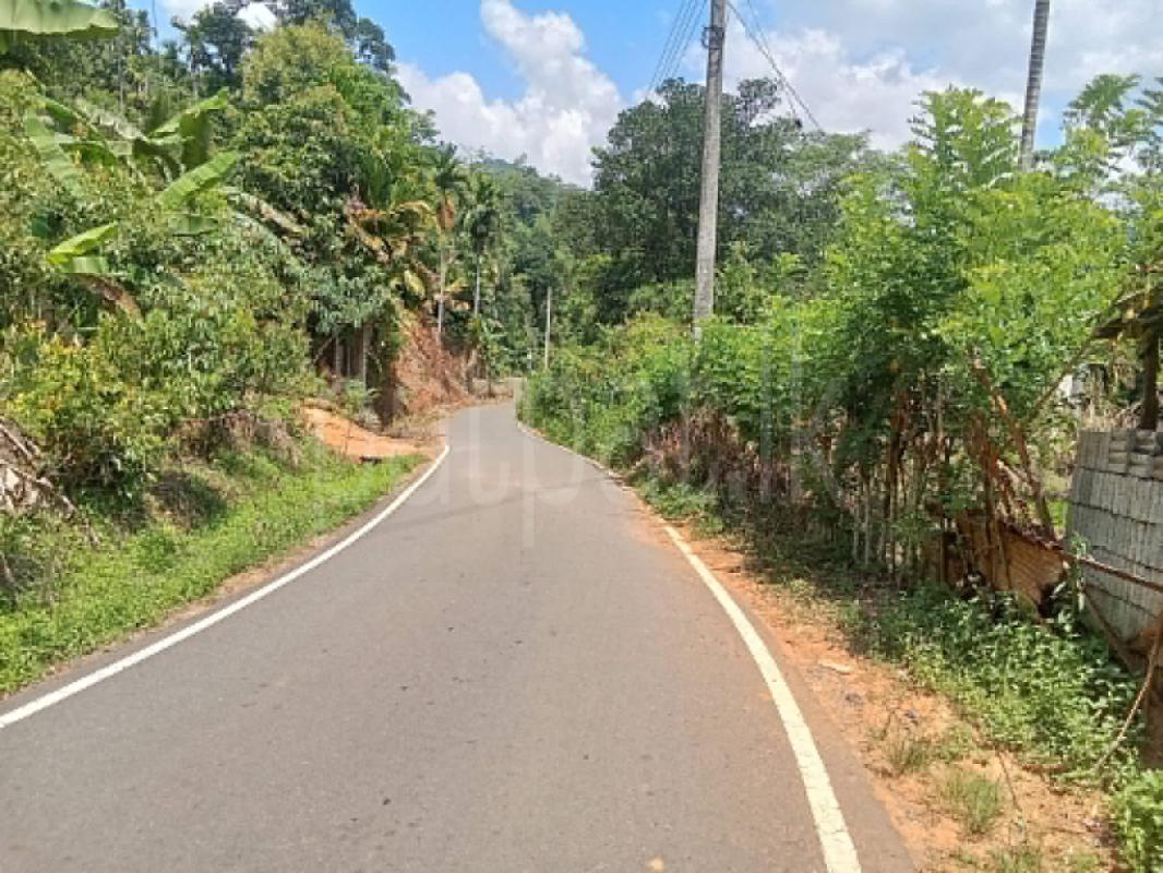 Agricultural Land for Sale in Deniyaya