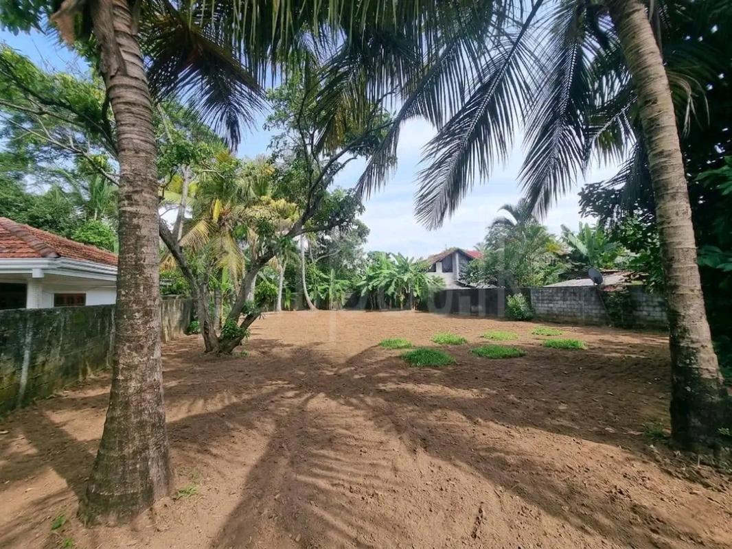 Agricultural Land for Sale in Mawathagama