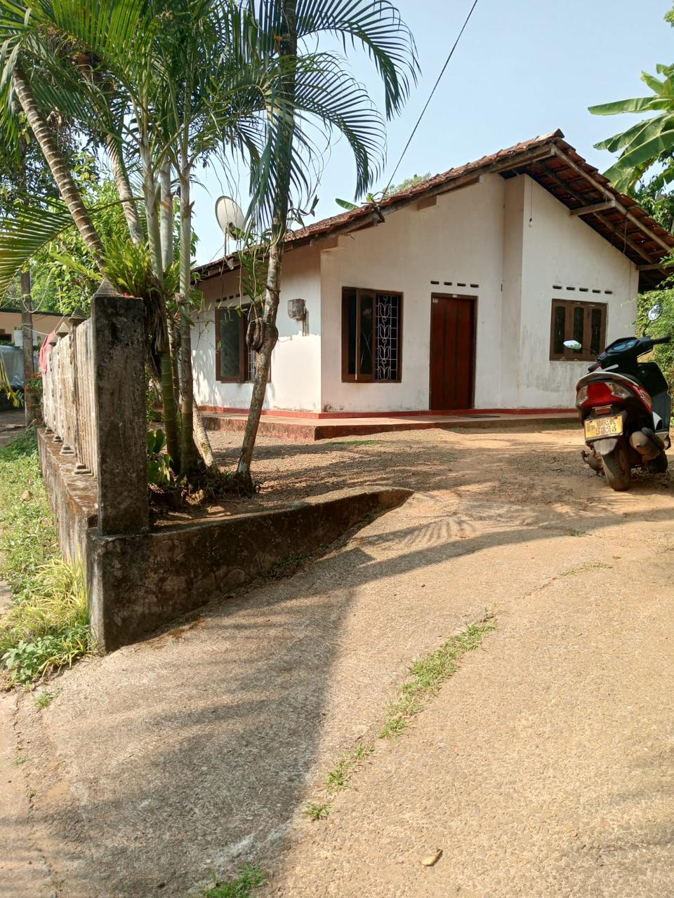 ads-image-1