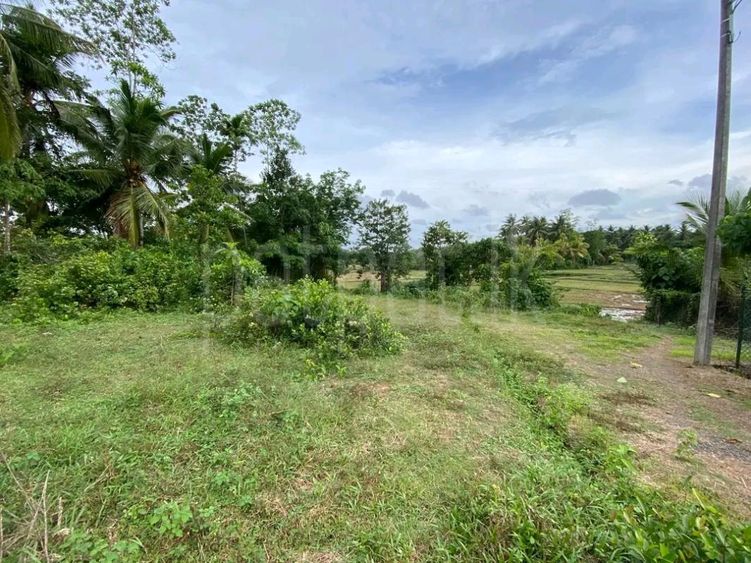 Residential Land for Sale in Galagedara