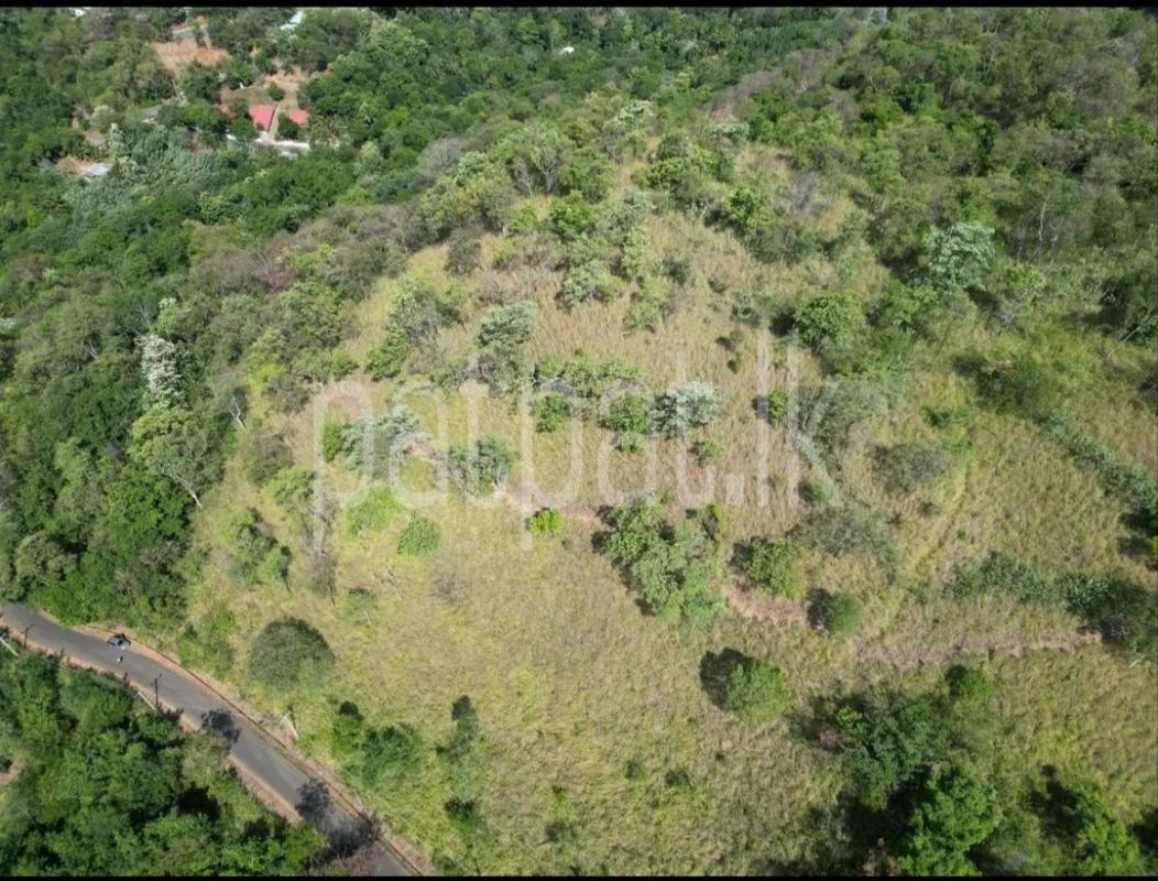 Residential Land for Sale in Ella ads-image-1