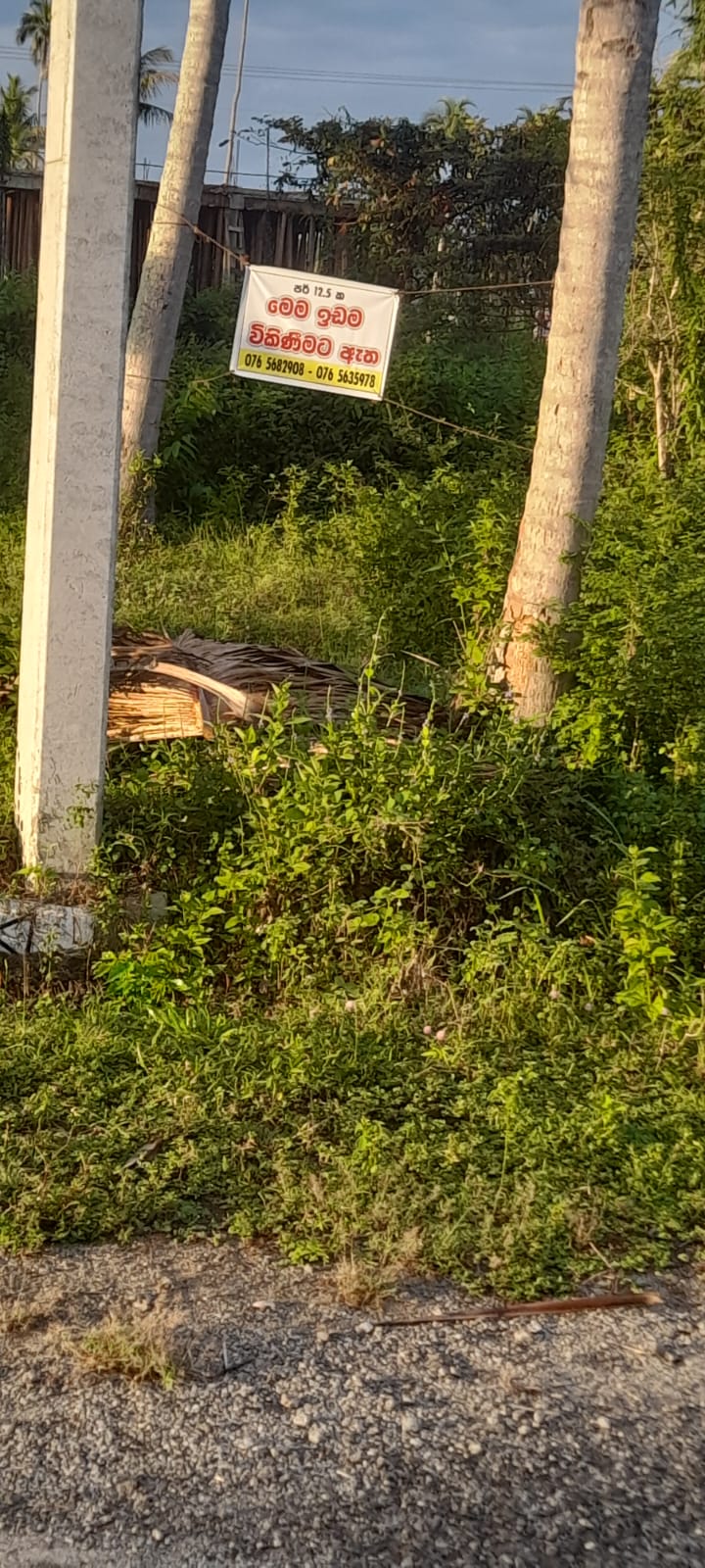 Commercial Land for Sale in Narammala