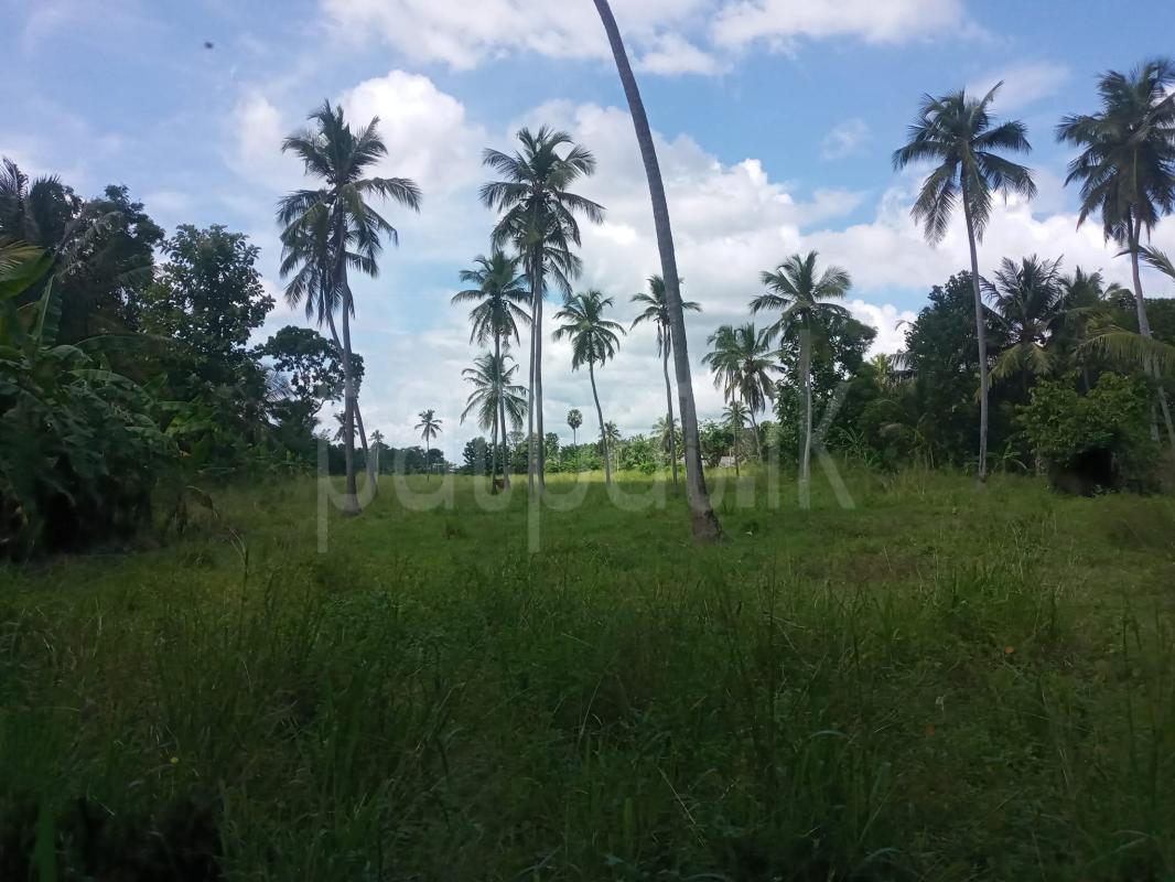 Agricultural Land for Sale in Wariyapola