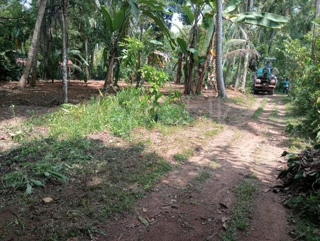 Residential Land for Sale in Kadawatha