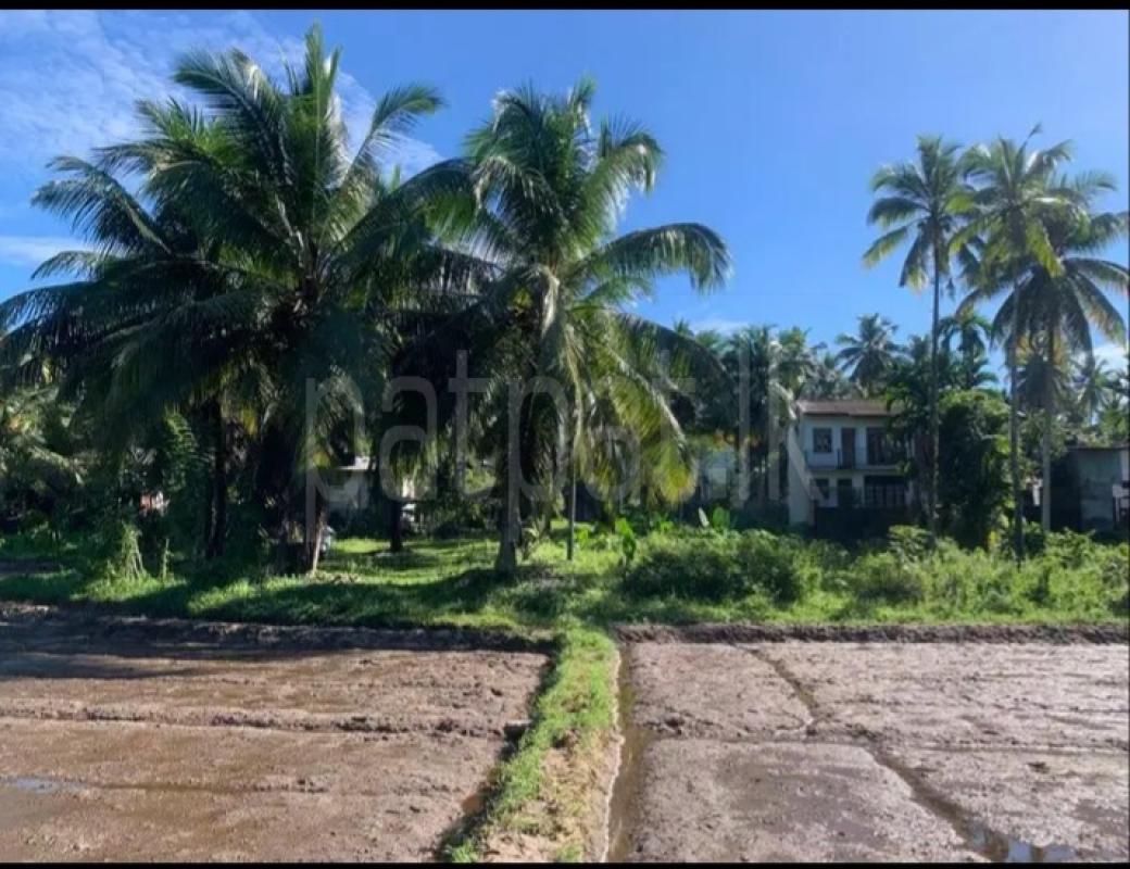 Residential Land for Sale in Meegoda
