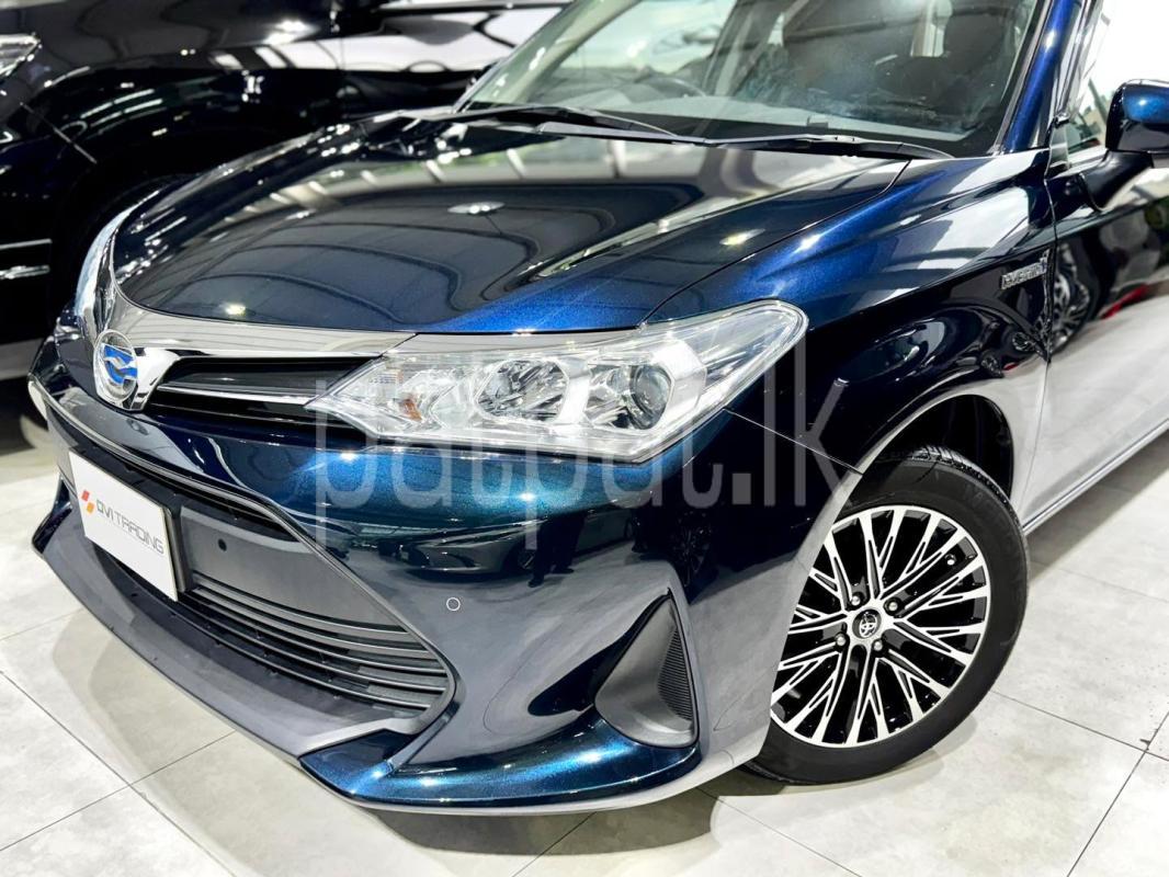 Advertisement image 1