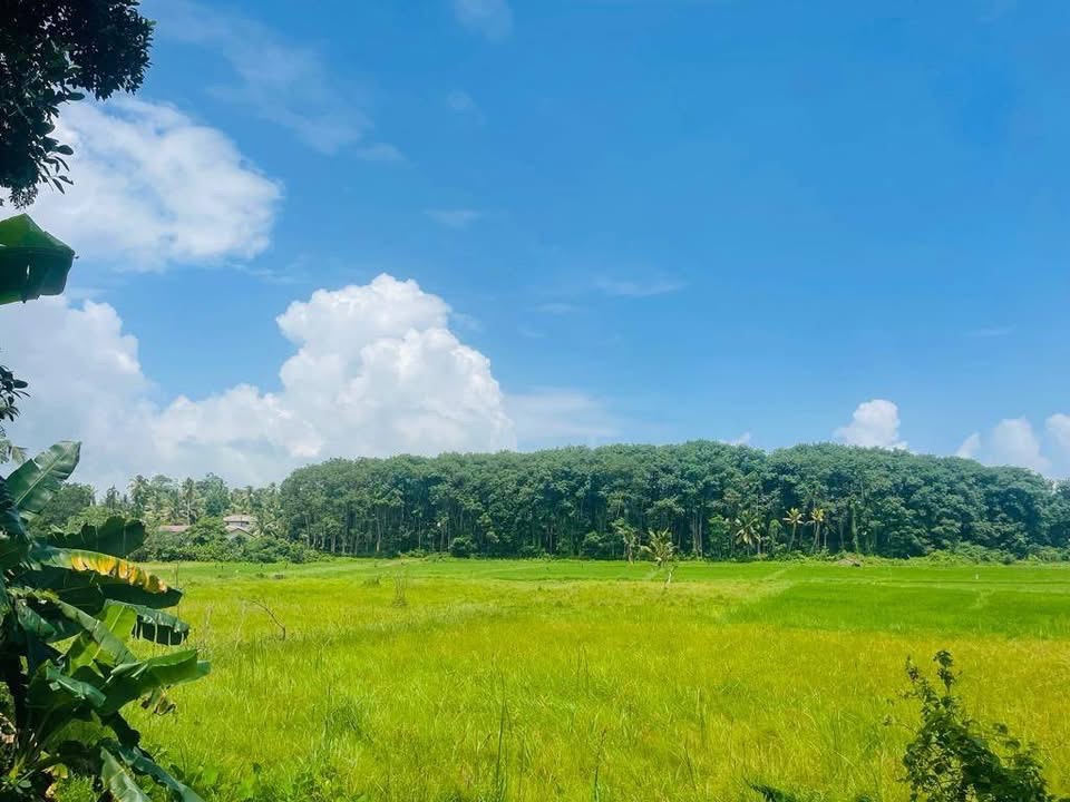 Agricultural Land for Sale in Panadura