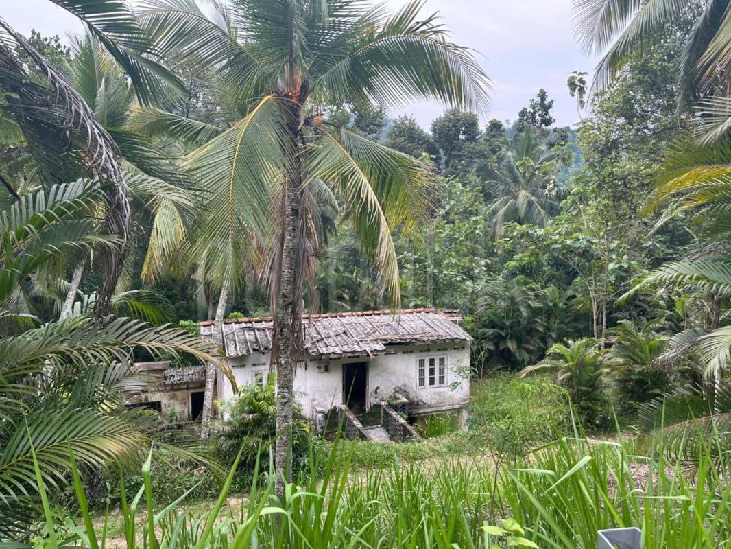 Residential Land for Sale in Nittambuwa