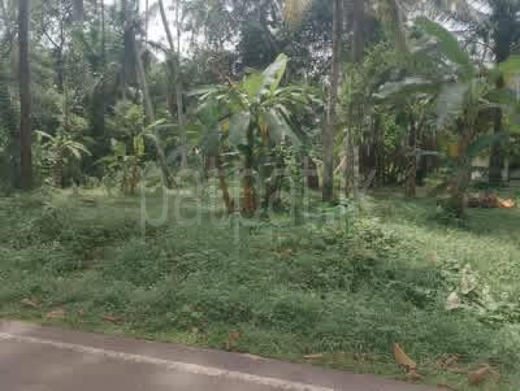Residential Land for Sale in Divulapitiya
