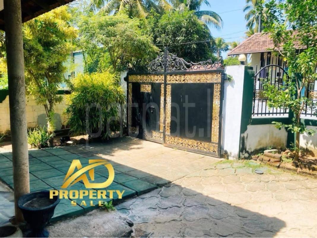 Advertisement image 6