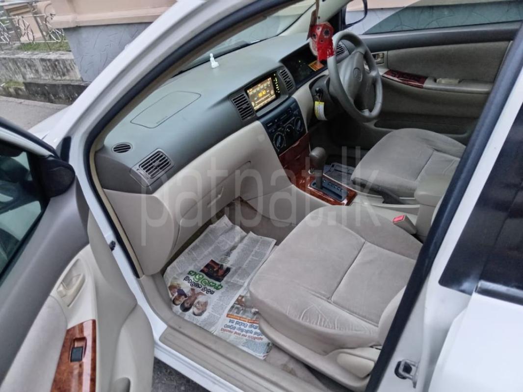 Advertisement image 5