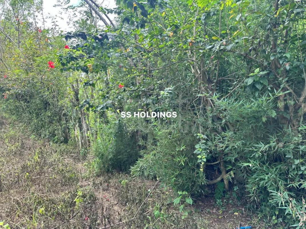 Commercial Land for Sale in Nuwara Eliya