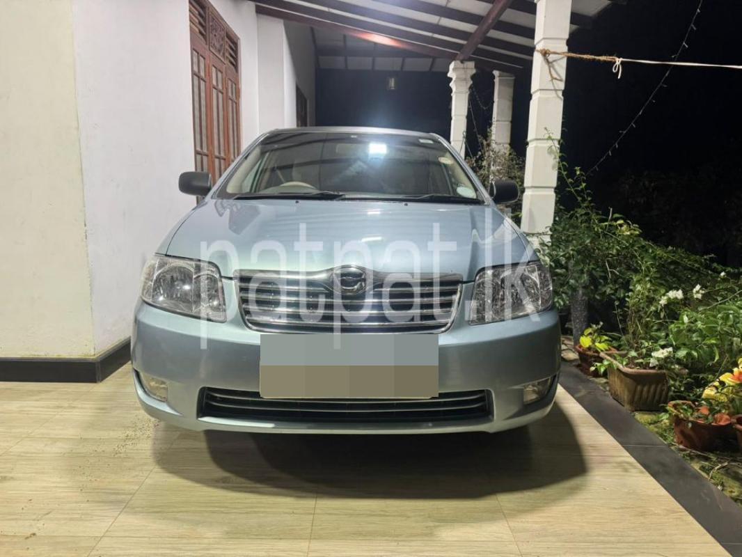 Advertisement image 1