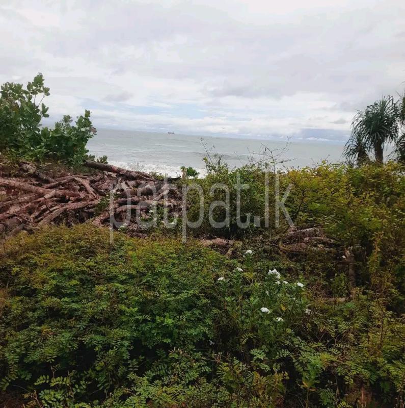 Residential Land for Sale in Weligama ads-image-1