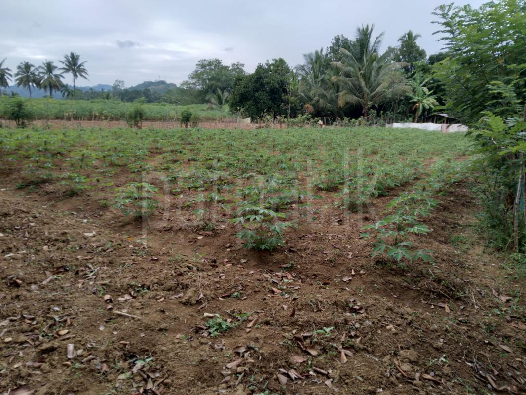 Residential Land for Sale in Gampola