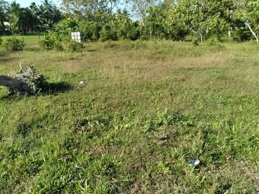 Commercial Land for Sale in Bandaragama
