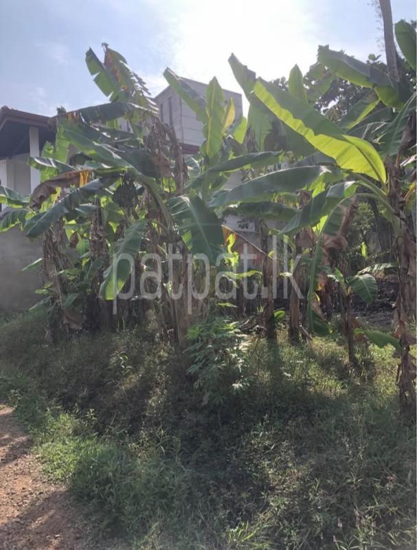 Commercial Land for Sale in Bandaragama