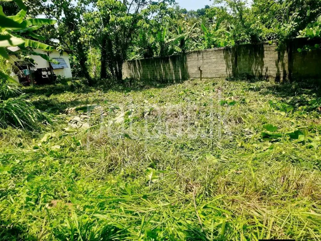 Residential Land for Sale in Pamunugama ads-image-1