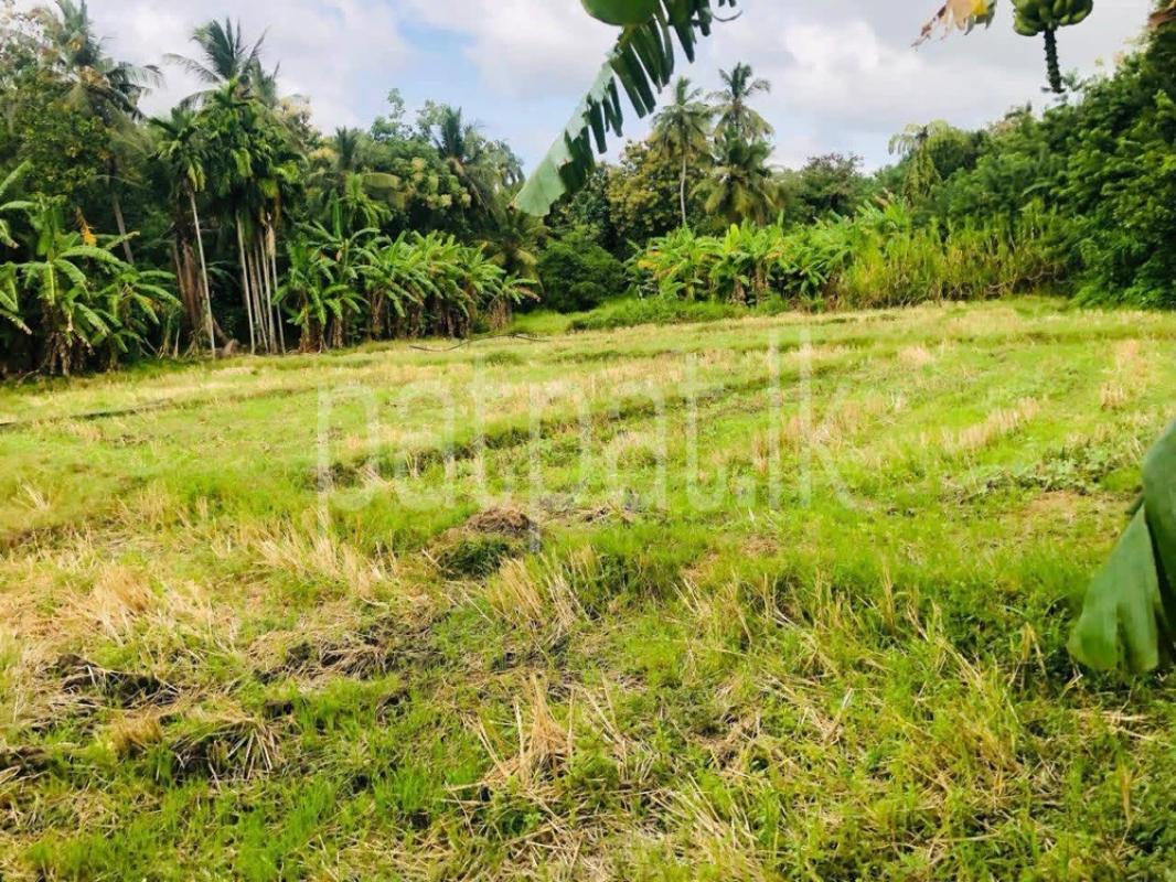 Residential Land for Sale in Anuradhapura ads-image-1