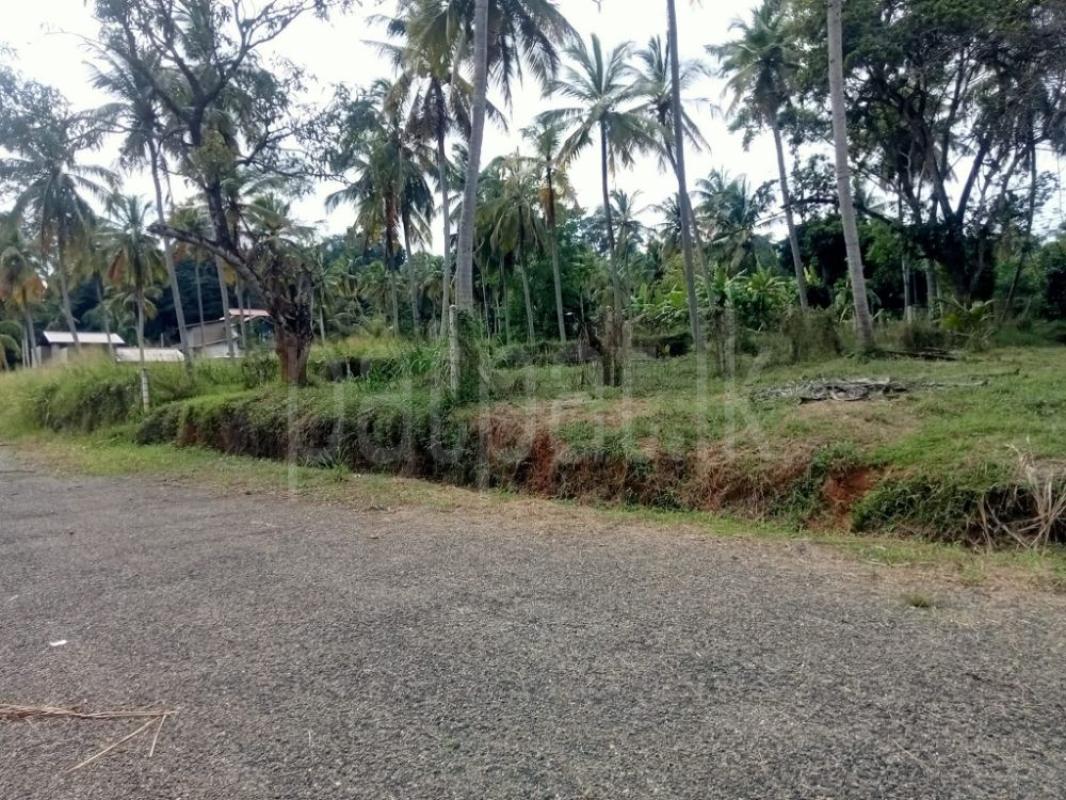 Residential Land for Sale in Kurunegala ads-image-1