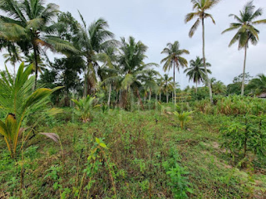 Residential Land for Sale in Divulapitiya