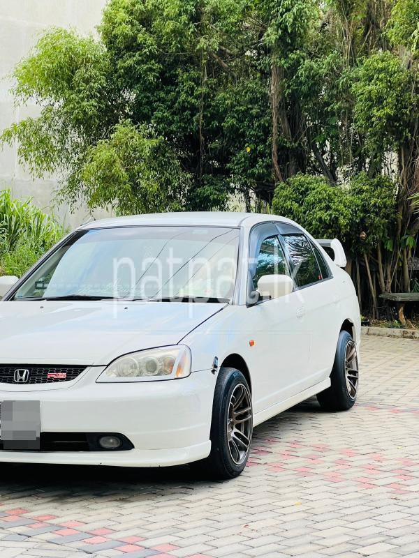 Advertisement image 4